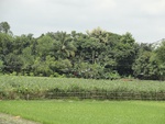 22036DSC00158.JPG