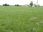 54077SPEN20120504GPS.JPG