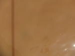 58137CIMG2448.JPG