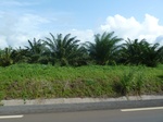20447P1020304.JPG