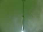 58382CIMG2831.JPG