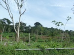 20107P1010958.JPG