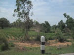 33359IMG_5699.JPG