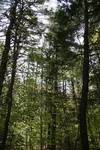 245IMG_4141.JPG