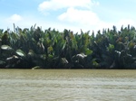 54653Bulungan (165).JPG