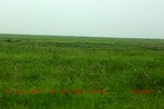 38969CIMG4585.gps.jpg