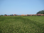 15450IMG_4326.JPG