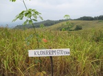 15880IMG_4427.JPG