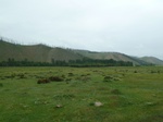 23858P1040947.JPG