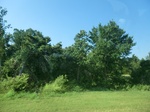 55359CIMG1947.JPG