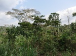 46540CIMG0829.JPG