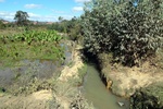 28446P1010457-1.JPG