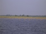 694R0015202.jpg
