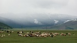 34062CIMG2253.JPG
