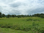 21000P1020870.JPG