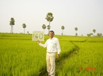 6721gt160-cropland-2.jpg