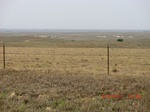 29803CIMG1184.JPG