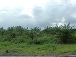 20455P1020312.JPG