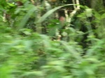 48466CIMG4803.JPG