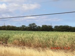 36335CIMG3534.JPG