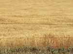 29848CIMG1302.JPG