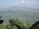 13967IMG_4262.JPG