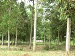 50679CIMG1308.JPG