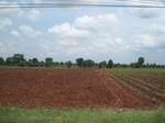 34361IMG_5274.JPG