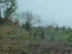 51515P1000677.JPG