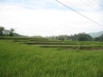 15192IMG_4012.JPG