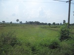 34384IMG_5298.JPG