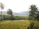 14621IMG_4997.JPG