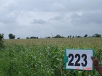 128000223c-rainfed-agriculture-maize-dominant-cotton.gif