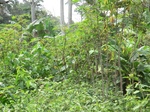 47697CIMG4034.JPG