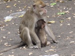 14537IMG_4898.JPG