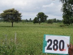 130050280a-rainfed-agriculture-soyabean.gif