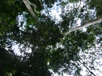 46519CIMG0808.JPG