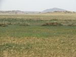 36764CIMG0533.JPG