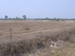 27740RIMG0018.JPG