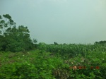 33231CIMG2476.JPG
