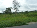 20522P1020379.JPG