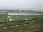 51608CIMG0280.JPG