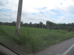 26699IMG_3340.JPG