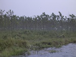 560R0015106.jpg