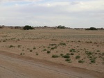 38501CIMG0343.JPG