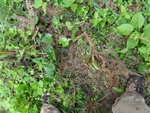 46634DSC01967.JPG