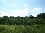 32530p185.jpg