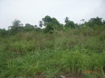 3713RIMG0016.JPG