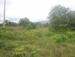 33636RIMG0301.JPG