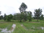 33435RIMG0175.JPG